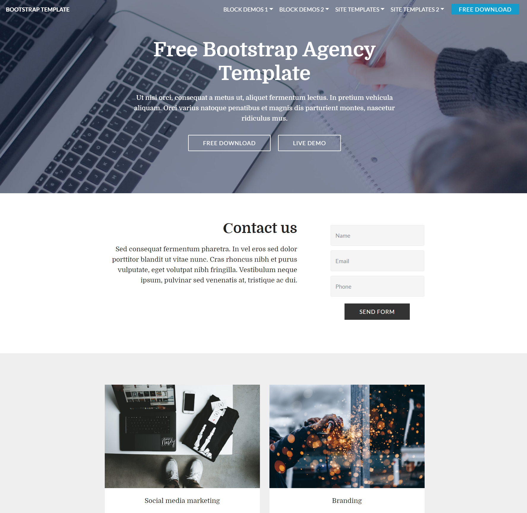 CSS3 Bootstrap  Agency Templates